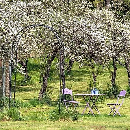 Domaine Mon Doux Reve