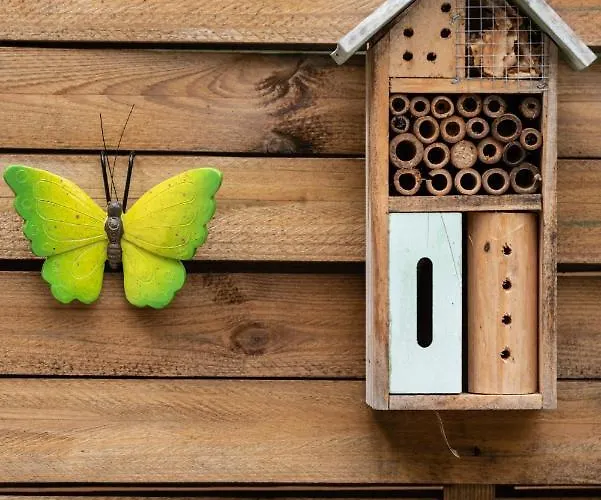 Bed & Breakfast Domaine Mon Doux Reve 3*